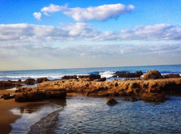 כופרת בחומוס.